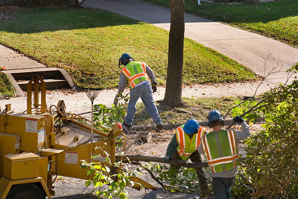 Best Lawn Pest Prevention  in Ocean Park, WA