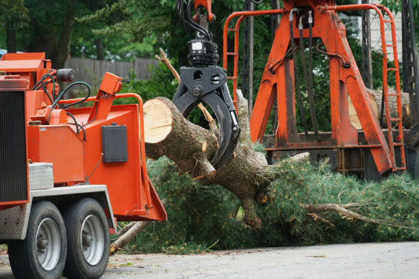 Best Lawn Grading and Leveling  in Ocean Park, WA